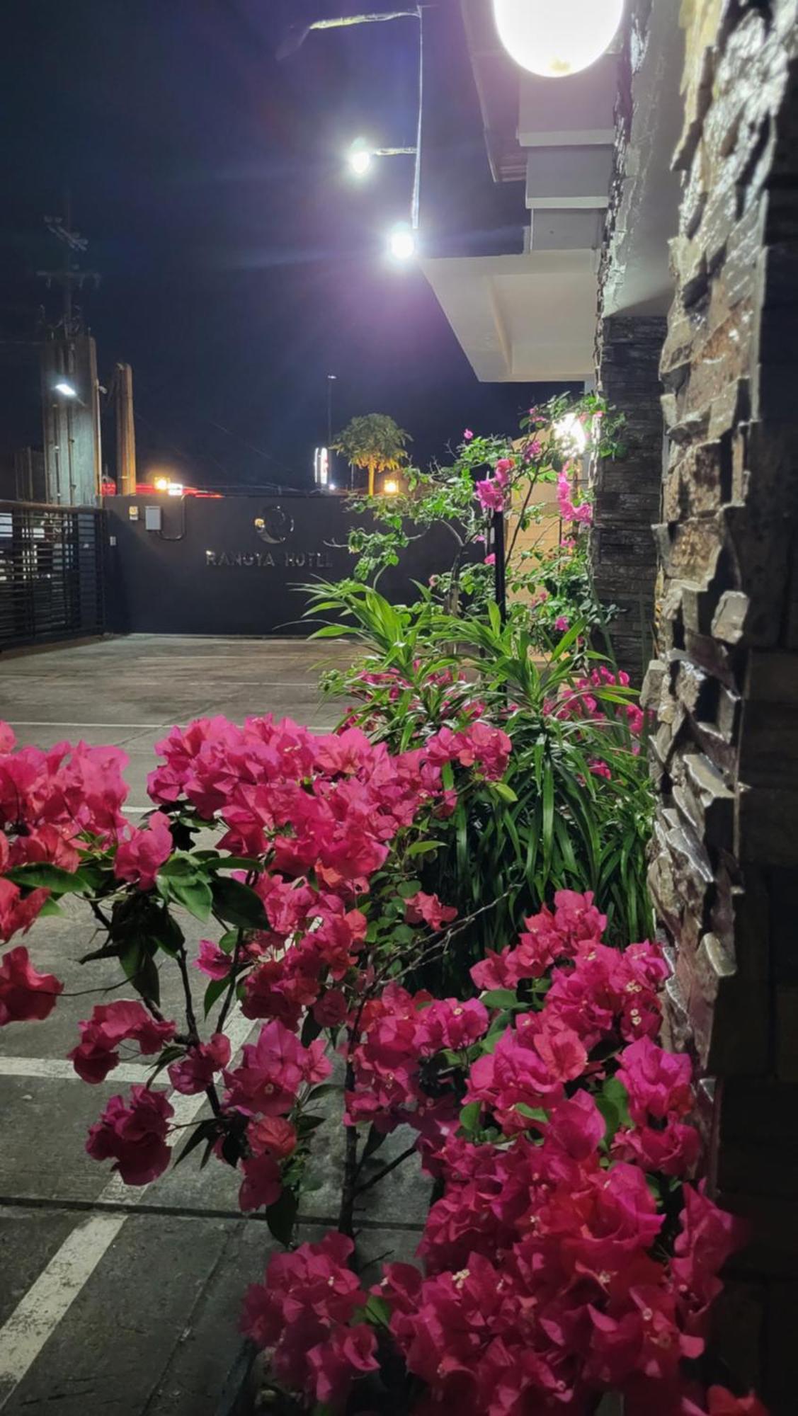 Rangya Hotel Tagaytay City Екстер'єр фото